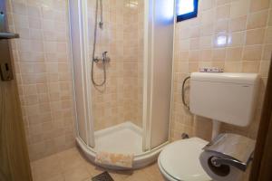 a bathroom with a shower and a toilet at Apartments Dandić in Orlec