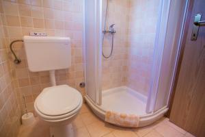 a bathroom with a toilet and a shower at Apartments Dandić in Orlec