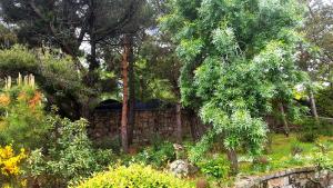 Vonkajšia záhrada v ubytovaní Casa Bonita Navacerrada