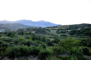 Gallery image of Villa Axenti in Agios Thomas