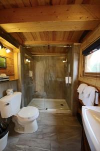 a bathroom with a shower and a toilet and a sink at Auberge Cap au Leste in Sainte-Rose-du-Nord