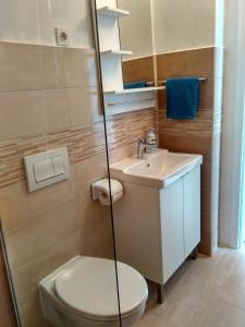 mała łazienka z toaletą i umywalką w obiekcie Apartments Sonija w mieście Gdinj