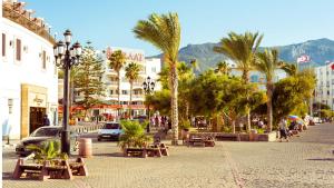 a street with benches and palm trees in a city at Lord's Residence Boutique Hotel in Kyrenia