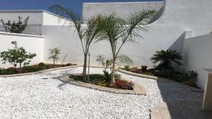 Taman di luar Albachiara