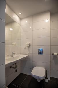 La salle de bains est pourvue de toilettes et d'un lavabo. dans l'établissement Willa Nest, à Unieście