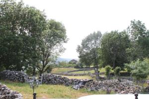 Príroda v okolí of the country house