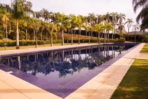 una piscina con palmeras al fondo en Hotel Villa D'Angelo, en Itatiba