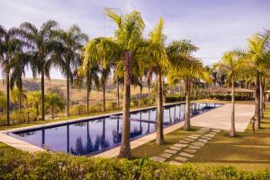 a swimming pool with palm trees in a park at Hotel Villa D'Angelo in Itatiba