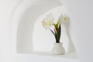 Fotografie z fotogalerie ubytování Strogili v destinaci Oia