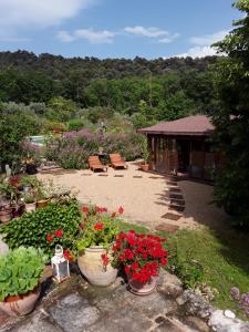 ヴォジーヌにあるLe Paradisの鉢植えの庭園