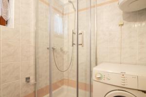 a bathroom with a shower and a toilet at Apartment Maja in Štinjan