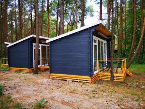 a blue tiny house in the woods at Ku kū in Šventoji