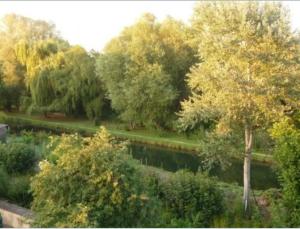 Blick auf einen Garten mit Bäumen und einem Fluss in der Unterkunft Au Charme des Marais in Bourges