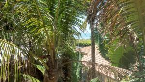 Kebun di luar Beach and sunset view from your balcony