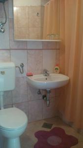 a bathroom with a toilet and a sink at Apartment Božava - Nena in Božava +11 photos