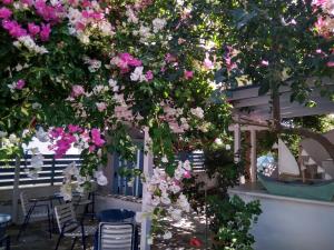 Gallery image of Pension Chanioti in Parikia