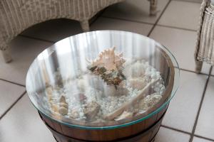 a glass bowl with rocks and a starfish in it at Hotel Corallo in Pomonte