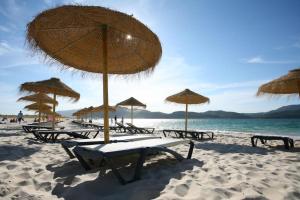 un gruppo di sedie a sdraio e ombrelloni su una spiaggia di Tróia Dreams a Tróia
