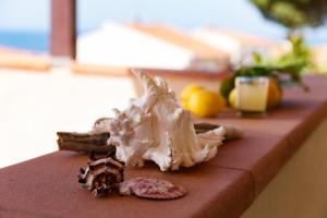 a counter top with some food on it at Hotel Corallo in Pomonte