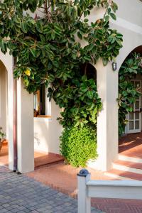 a building with a large green plant on the side of it at Hotel Corallo in Pomonte