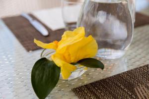 a yellow flower in a vase on a table at Hotel Corallo in Pomonte
