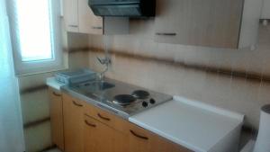 Kuchyň nebo kuchyňský kout v ubytování Apartment