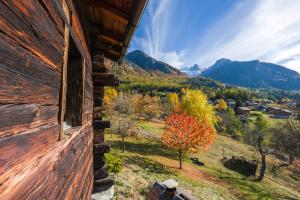 a person looking out of a window of a cabin with a tree at korn-stadel ARIDA PRATA "natur pur" in Grächen