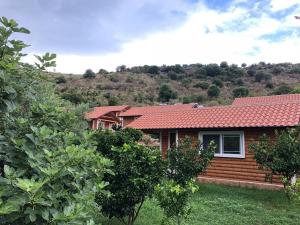 a house with a red roof and some trees at The Mussel House in Ksamil