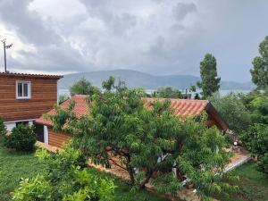 a house with a tree in front of it at The Mussel House in Ksamil