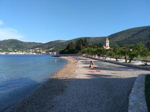 a group of people on a beach near the water at apartman željana in Vis