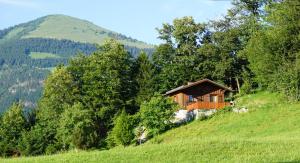 a wooden house on a hill with trees at Chalet Katrin in Sankt Koloman