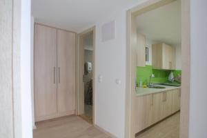 萨拉热窝Deluxe Bellevue Apartments的厨房配有木制橱柜和大镜子