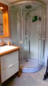 y baño con ducha con cabina de ducha de cristal. en Appartement les Acacias, en Clamart