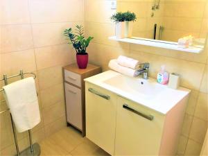 a bathroom with a sink and a mirror at Apartments Village in Lozovac +30 photos
