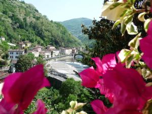 Blick auf eine Stadt mit rosa Blumen in der Unterkunft Villa Rosalena in Bagni di Lucca