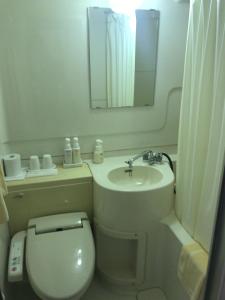 een badkamer met een toilet, een wastafel en een spiegel bij New Central Hotel Katsuta in Hitachinaka