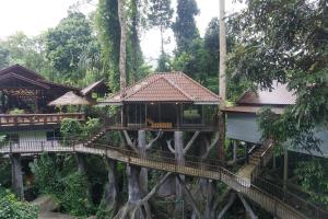 uma casa na árvore no meio de uma floresta em Rock and Tree House Resort em Parque Nacional de Khao Sok