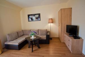 Televízia a/alebo spoločenská miestnosť v ubytovaní Apartamenty Pod Lipami