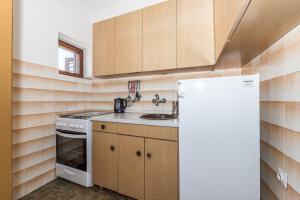 Kuchyň nebo kuchyňský kout v ubytování Apartment Promona Drniš
