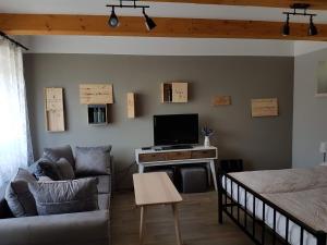
TV a/nebo společenská místnost v ubytování Viñas
