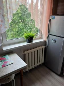 カリーニングラードにあるApartment on Rokossovskogo 11のキッチン(冷蔵庫付)、窓が備わります。