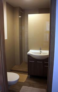 A bathroom at Apartmánový dom Mária
