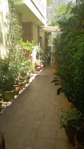 Vonkajšia záhrada v ubytovaní Villa Marili