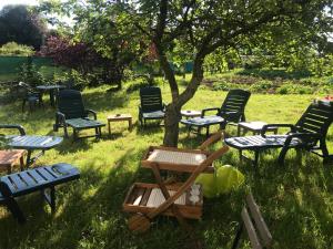 a group of chairs and tables under a tree at Viviendas Uso Turístico Arzúa in Arzúa