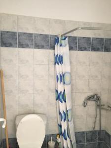 a bathroom with a toilet and a shower curtain at Eugenia travasarou sea view appartments in Diakofti