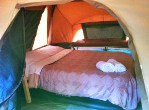 a bedroom with a bed in a tent at WA Wilderness - one step from nature in Pemberton