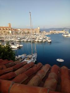 un grupo de barcos atracados en un puerto en ELSA., en La Ciotat