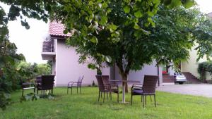 Zahrada ubytování Rezerwat85