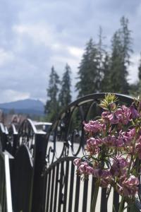 a bunch of purple flowers sitting on top of a bench at U Wajdy in Małe Ciche