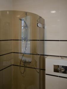 a shower in a bathroom with a glass door at Karkle Seaside Apartments in Karklė